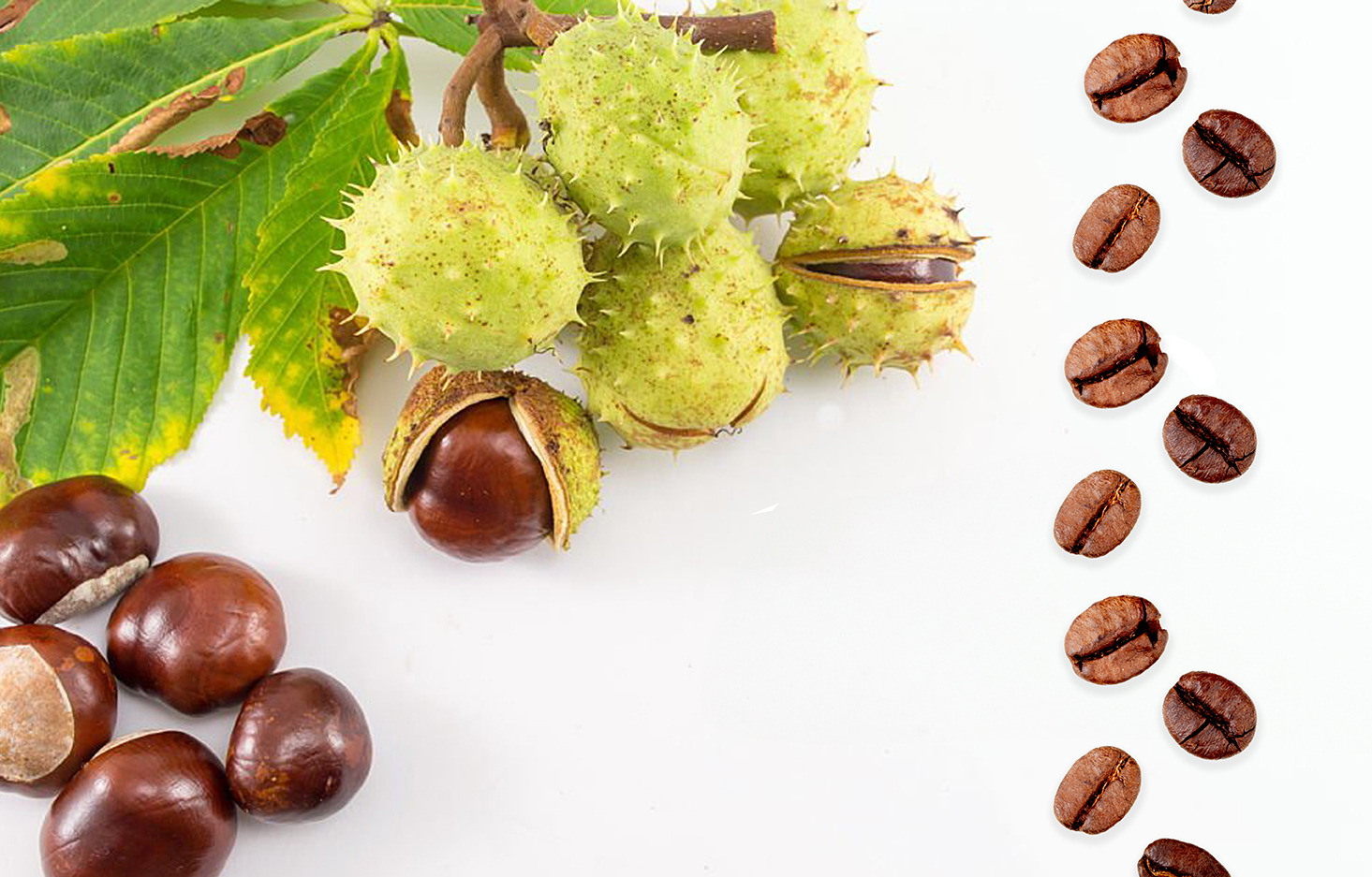 top-view-roasted-coffee-beans-scattered-white-background-with-copy-space.jpg